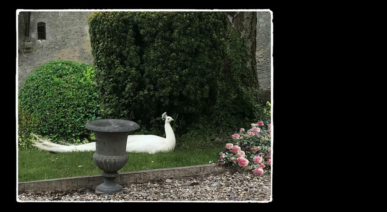 Manoir De Livet Bed & Breakfast Saint-Germain-de-Livet Ngoại thất bức ảnh